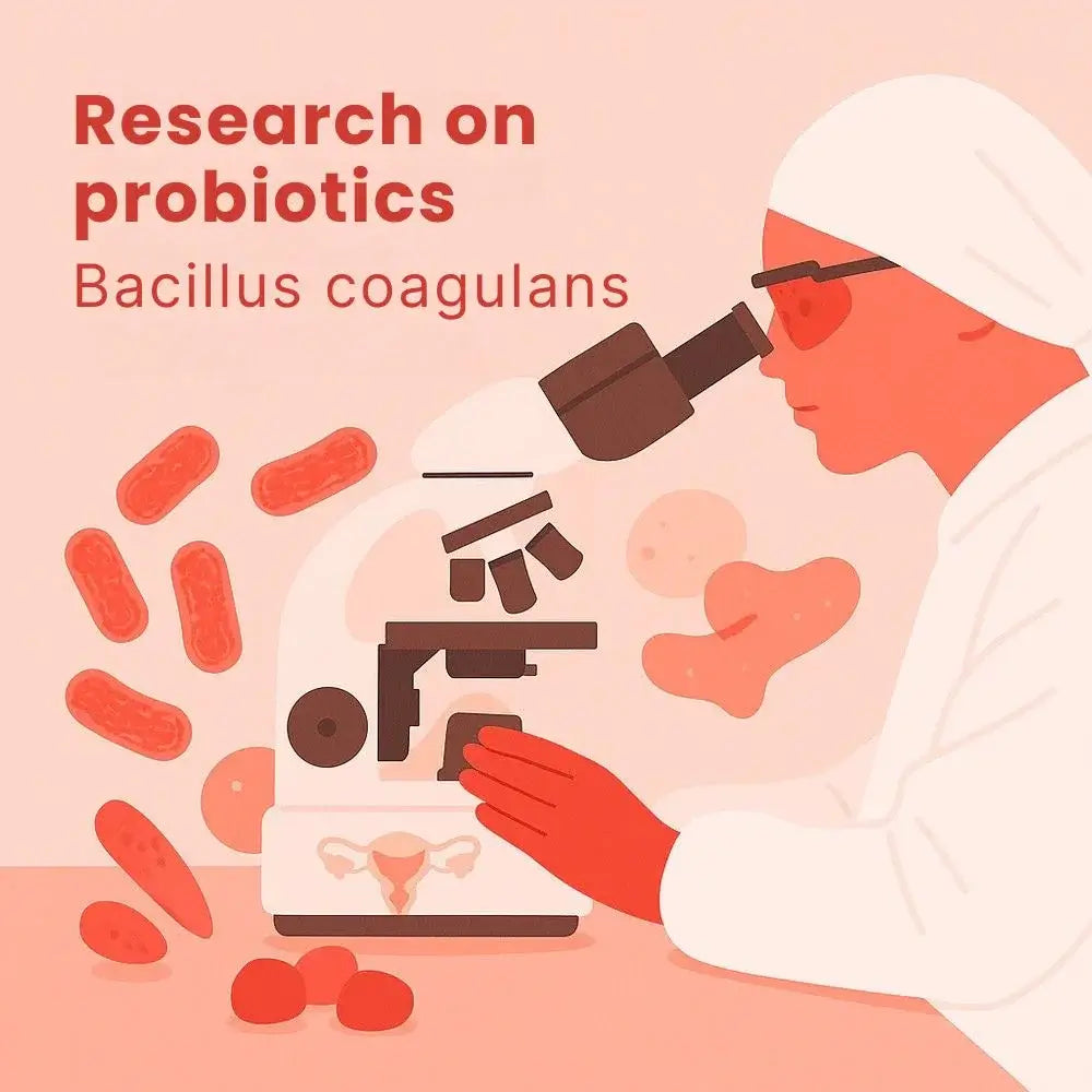 Bacillus coagulans: the probiotic strain revolutionizing intimate health.