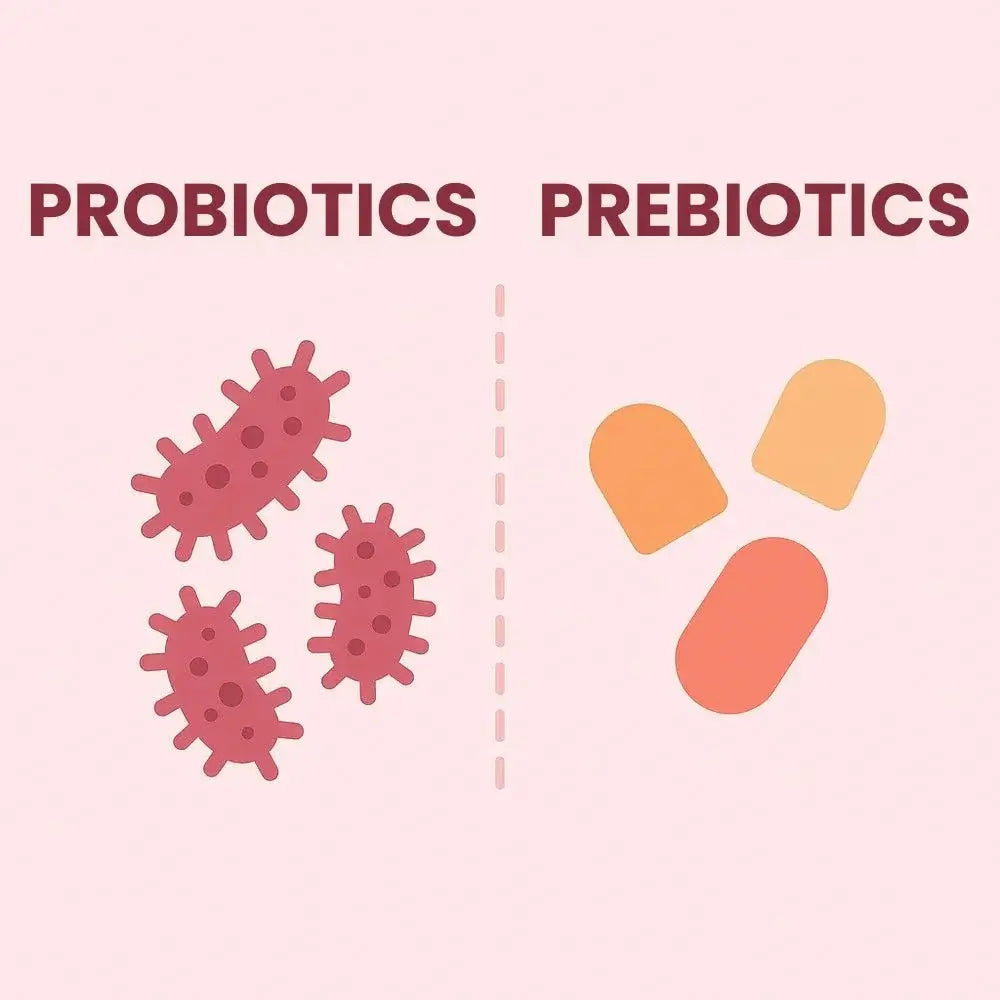 Probiotics vs. Prebiotics: What’s the Difference?