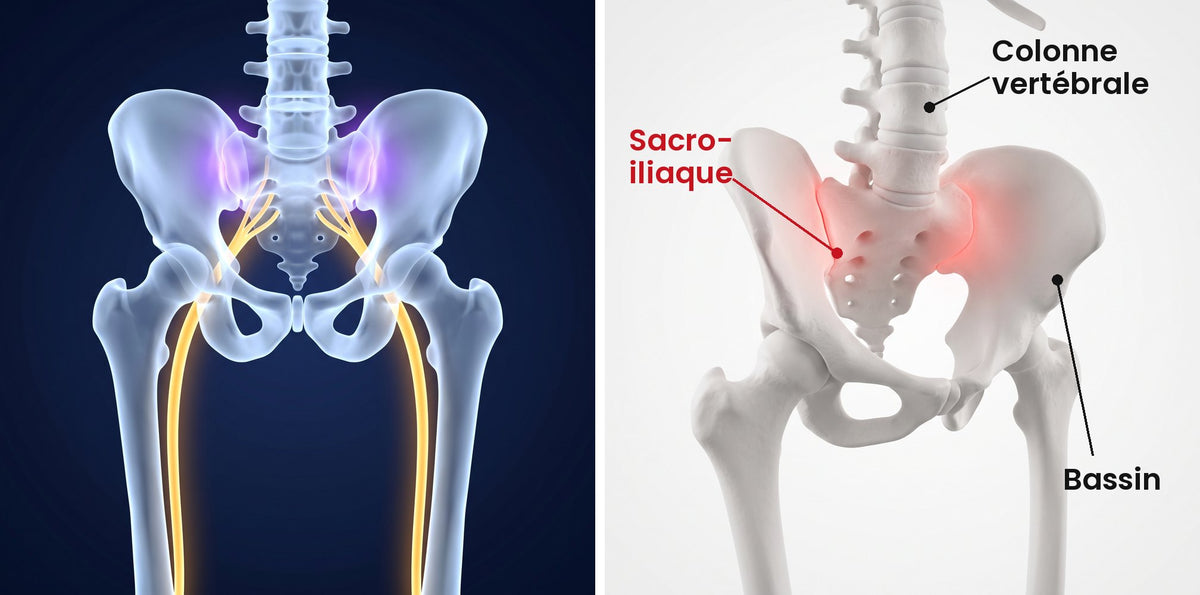 Articulation sacro-iliaque, colonne vertébrale et bassin Image