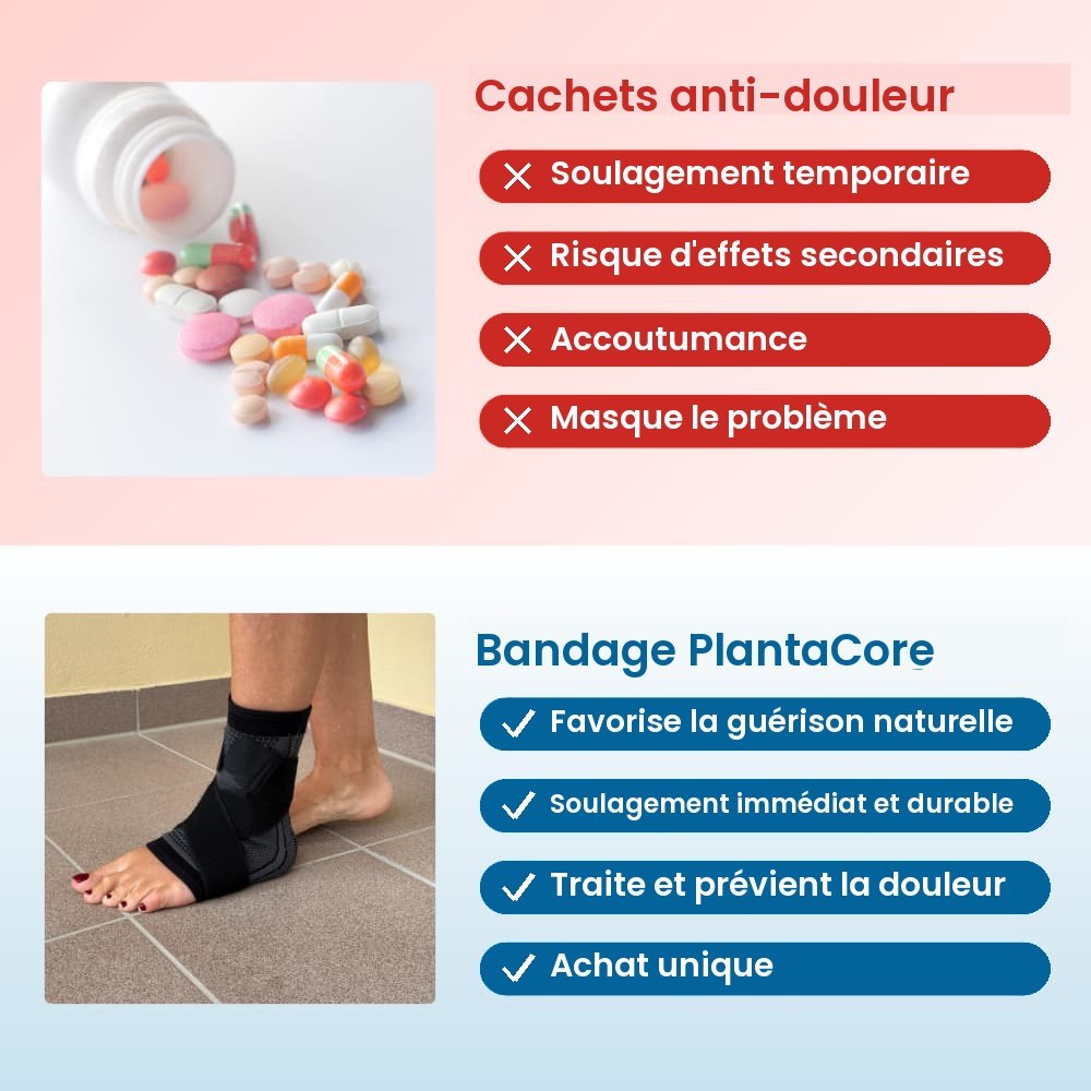 PlantaCore comparatif