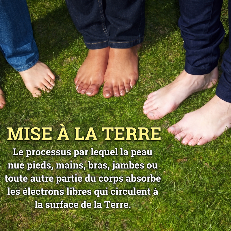 Definition mise a la terre